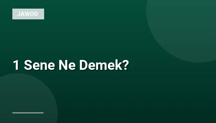 1 Sene Ne Demek?