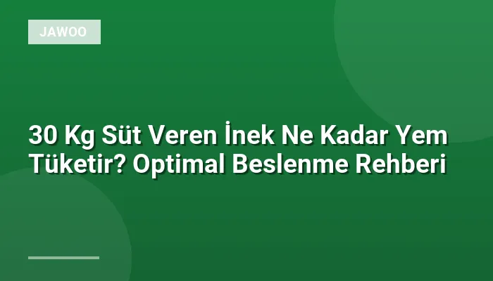 30 Kg Süt Veren İnek Ne Kadar Yem Tüketir? Optimal Beslenme Rehberi