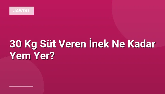 30 Kg Süt Veren İnek Ne Kadar Yem Yer?