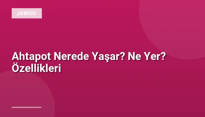 Ahtapot Nerede Yaşar? Ne Yer? Özellikleri