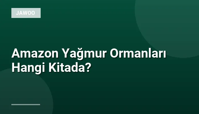 Amazon Yağmur Ormanları Hangi Kitada?