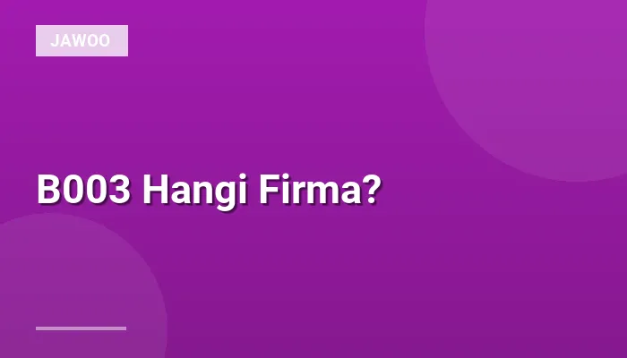 B003 Hangi Firma?
