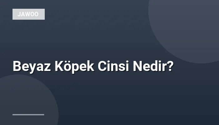 Beyaz Köpek Cinsi Nedir?