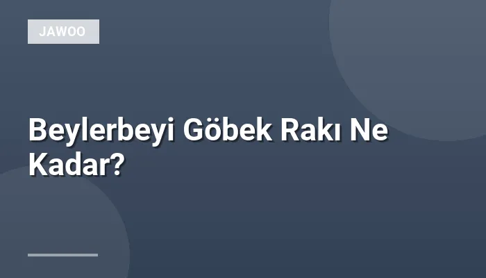 Beylerbeyi Göbek Rakı Ne Kadar?