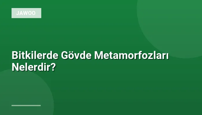 Bitkilerde Gövde Metamorfozları Nelerdir?