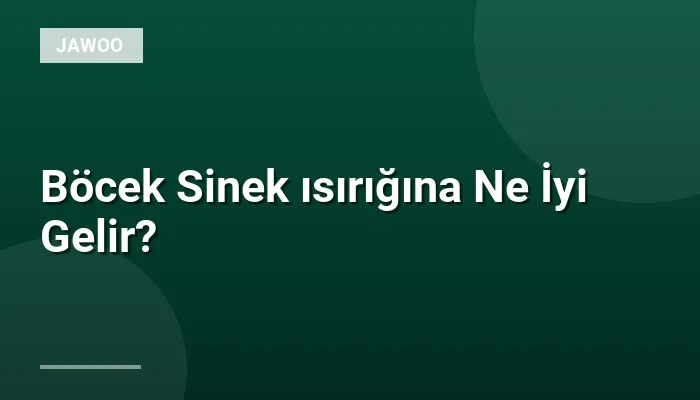 Böcek Sinek ısırığına Ne İyi Gelir?