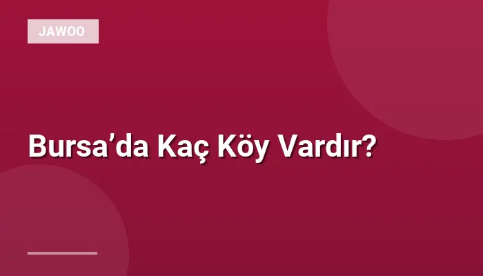 Bursa’da Kaç Köy Vardır?