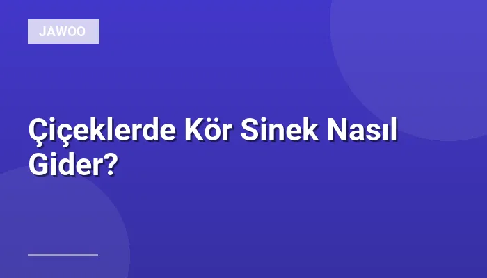 Çiçeklerde Kör Sinek Nasıl Gider?