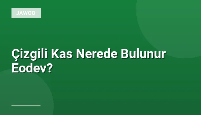 Çizgili Kas Nerede Bulunur Eodev?