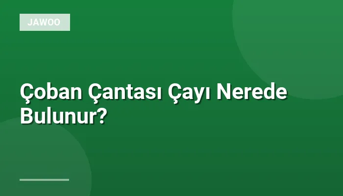 Çoban Çantası Çayı Nerede Bulunur?