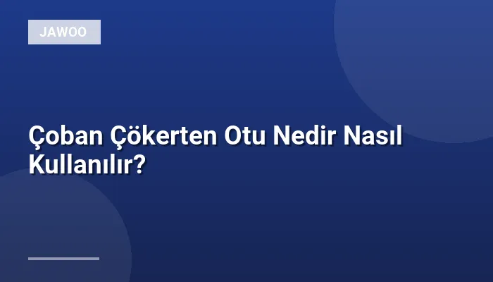 Çoban Çökerten Otu Nedir Nasıl Kullanılır?