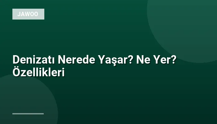 Denizatı Nerede Yaşar? Ne Yer? Özellikleri