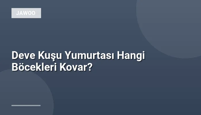 Deve Kuşu Yumurtası Hangi Böcekleri Kovar?