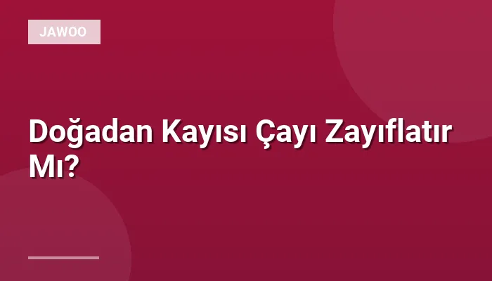 Doğadan Kayısı Çayı Zayıflatır Mı?