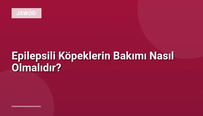 Epilepsili Köpeklerin Bakımı Nasıl Olmalıdır?