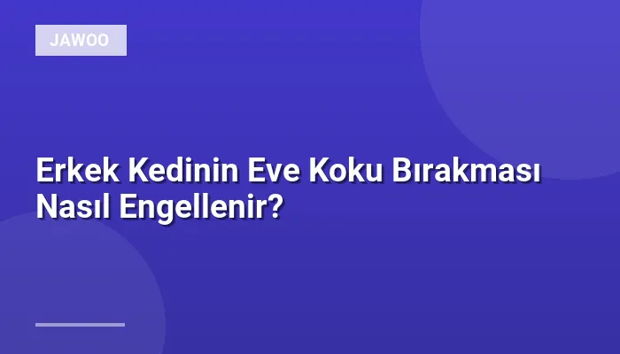 Erkek Kedinin Eve Koku Bırakması Nasıl Engellenir?