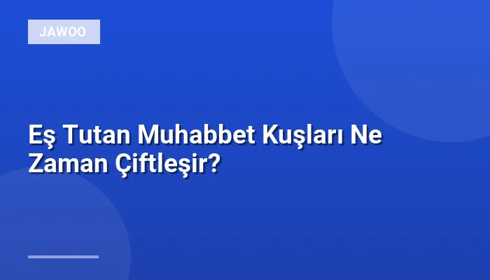 Eş Tutan Muhabbet Kuşları Ne Zaman Çiftleşir?