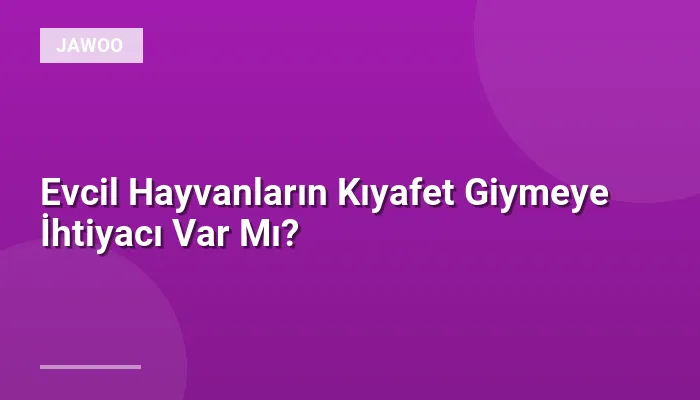 Evcil Hayvanların Kıyafet Giymeye İhtiyacı Var Mı?