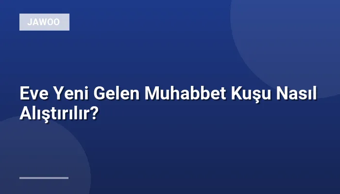 Eve Yeni Gelen Muhabbet Kuşu Nasıl Alıştırılır?