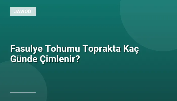 Fasulye Tohumu Toprakta Kaç Günde Çimlenir?
