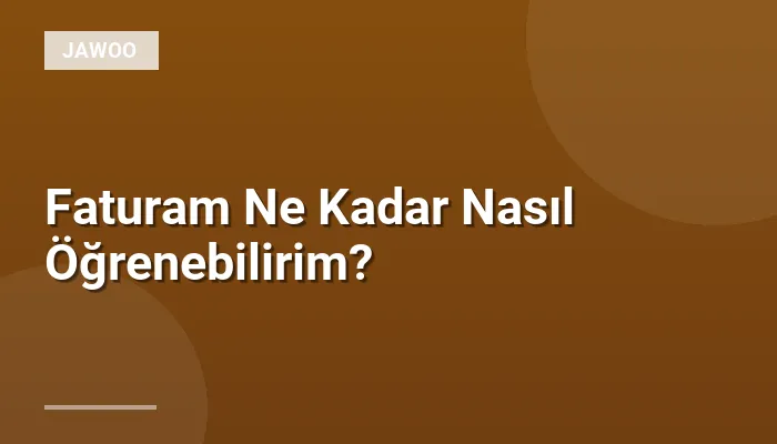 Faturam Ne Kadar Nasıl Öğrenebilirim?