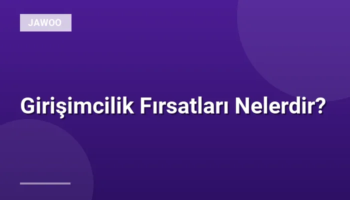 Girişimcilik Fırsatları Nelerdir?
