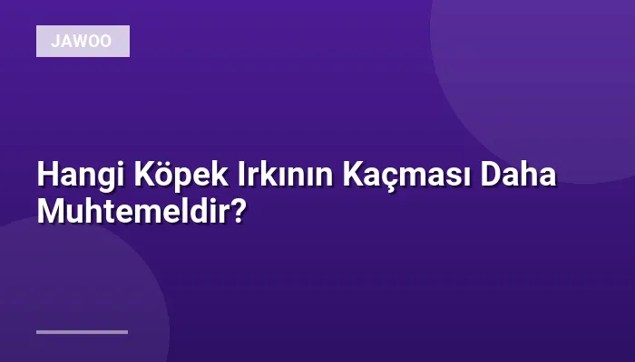 Hangi Köpek Irkının Kaçması Daha Muhtemeldir?