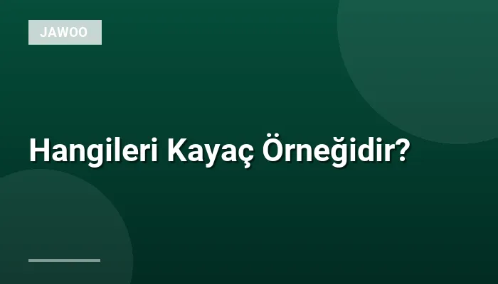 Hangileri Kayaç Örneğidir?