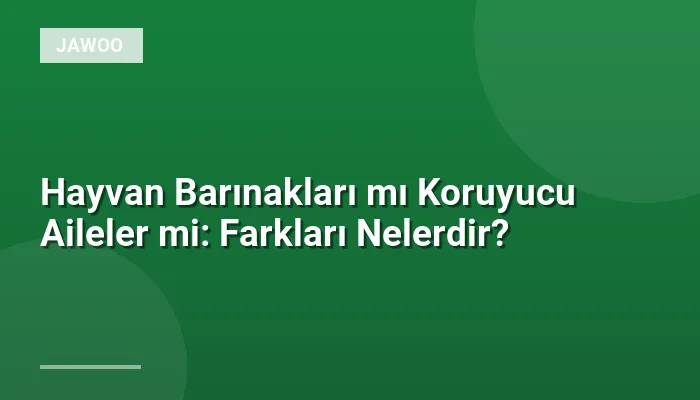 Hayvan Barınakları mı Koruyucu Aileler mi: Farkları Nelerdir?