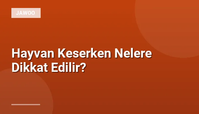 Hayvan Keserken Nelere Dikkat Edilir?