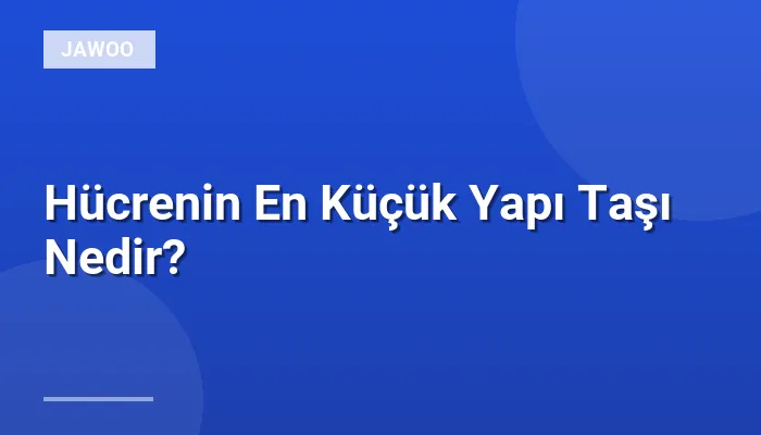 Hücrenin En Küçük Yapı Taşı Nedir?