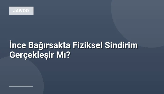 İnce Bağırsakta Fiziksel Sindirim Gerçekleşir Mı?
