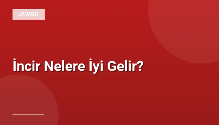 İncir Nelere İyi Gelir?
