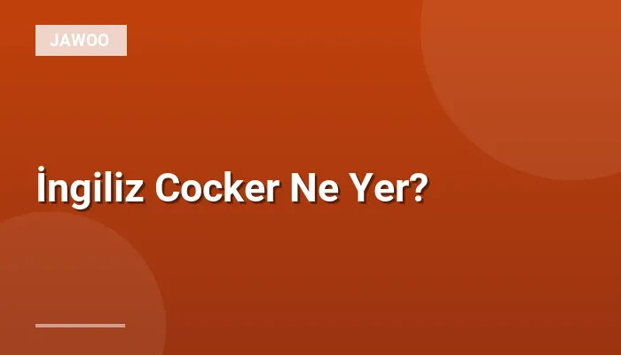 İngiliz Cocker Ne Yer?