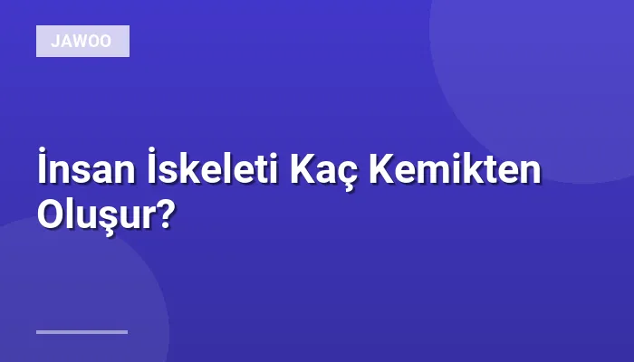 İnsan İskeleti Kaç Kemikten Oluşur?