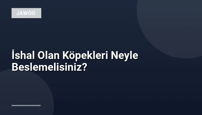 İshal Olan Köpekleri Neyle Beslemelisiniz?