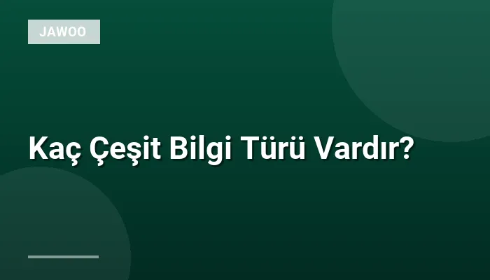 Kaç Çeşit Bilgi Türü Vardır?