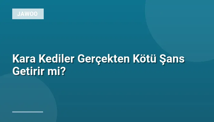 Kara Kediler Gerçekten Kötü Şans Getirir mi?