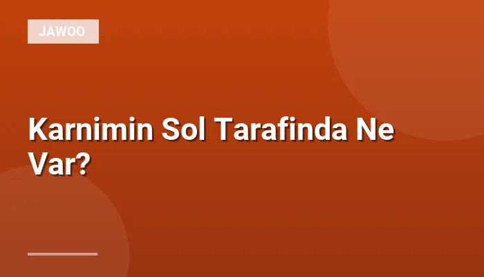 Karnimin Sol Tarafinda Ne Var?
