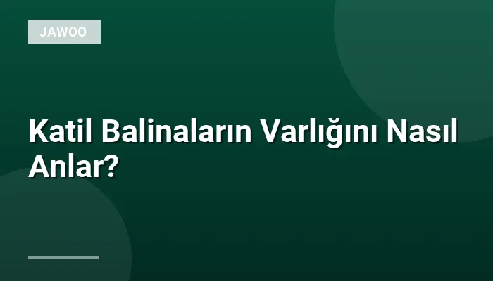 Katil Balinaların Varlığını Nasıl Anlar?