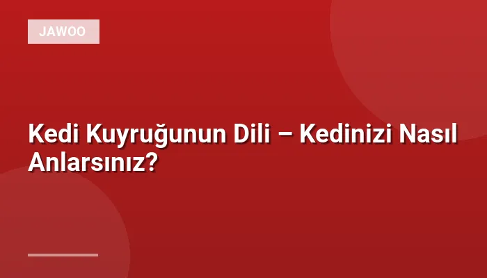 Kedi Kuyruğunun Dili – Kedinizi Nasıl Anlarsınız?