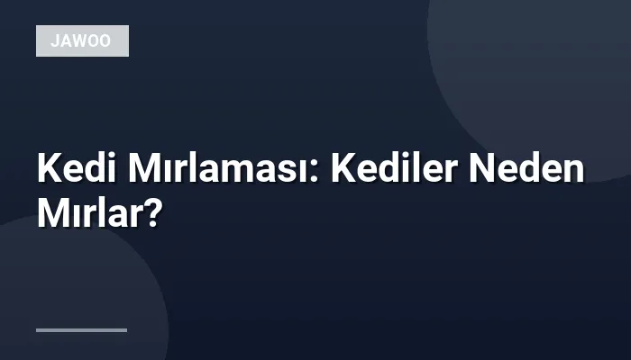 Kedi Mırlaması: Kediler Neden Mırlar?