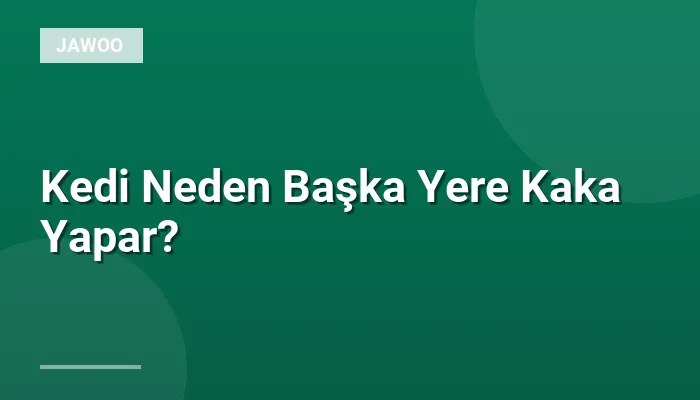Kedi Neden Başka Yere Kaka Yapar?