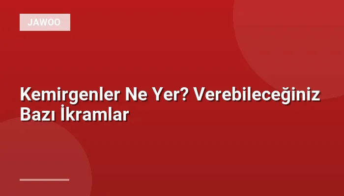 Kemirgenler Ne Yer? Verebileceğiniz Bazı İkramlar