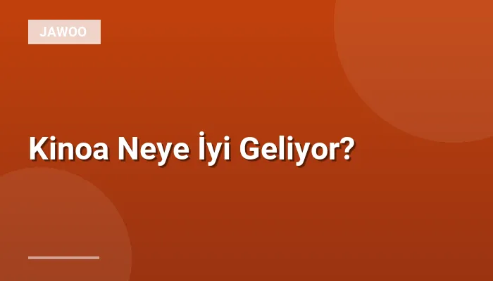 Kinoa Neye İyi Geliyor?