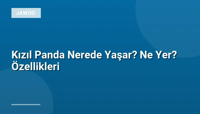 Kızıl Panda Nerede Yaşar? Ne Yer? Özellikleri
