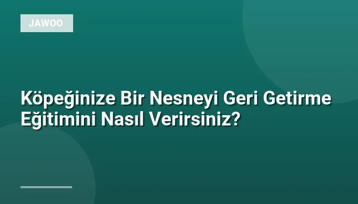 Köpeğinize Bir Nesneyi Geri Getirme Eğitimini Nasıl Verirsiniz?