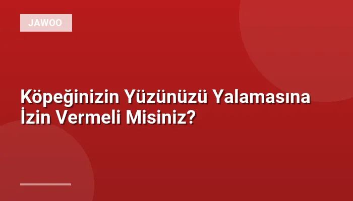 Köpeğinizin Yüzünüzü Yalamasına İzin Vermeli Misiniz?