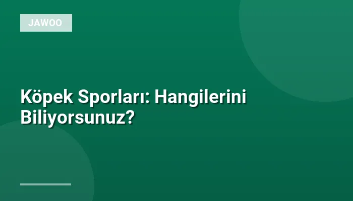 Köpek Sporları: Hangilerini Biliyorsunuz?