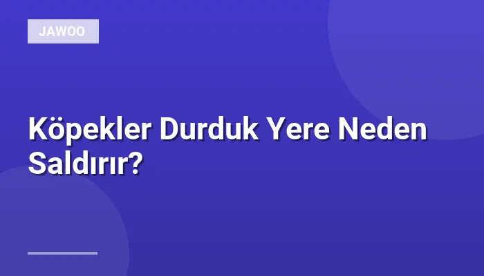 Köpekler Durduk Yere Neden Saldırır?